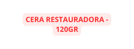 CERA RESTAURADORA 120GR